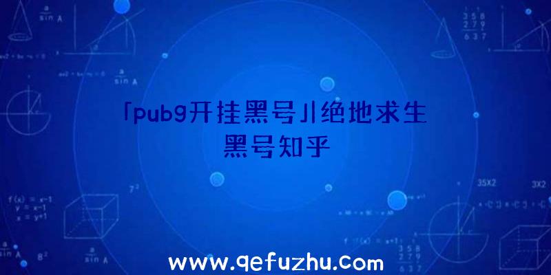 「pubg开挂黑号」|绝地求生黑号知乎